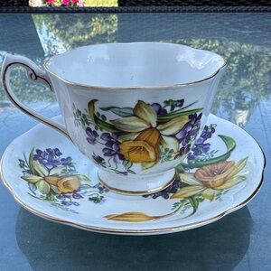 Royal Standard Tea Cup and Saucer Woodland Wonder floral Daffodil Violets teacup